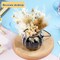 12 Pack Dried Flower Bouquet Mini Natural Pampas Grass for Crafts Small Dried Embossing Florat with Stem Boho Artificial Arrangement Wedding Derco Flowers Bundles for Vases, Wedding, Home, Party